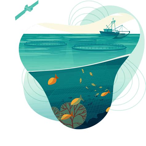 Transparency for a Sustainable Ocean .